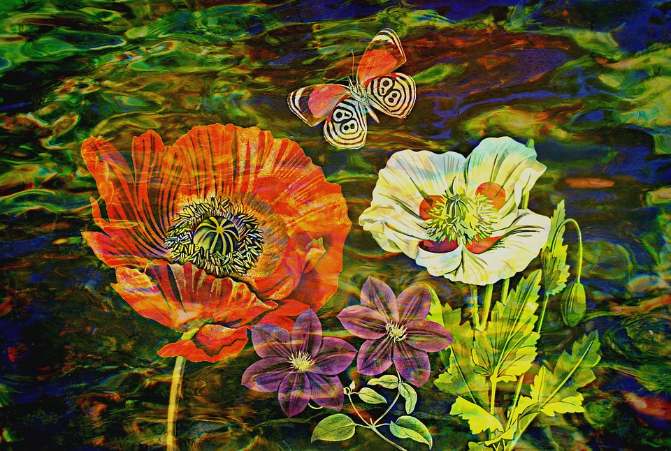 meditart 3
